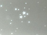 Meo