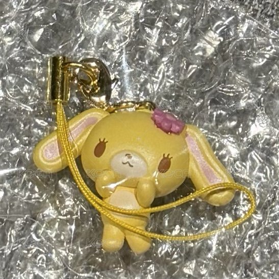 黃兔