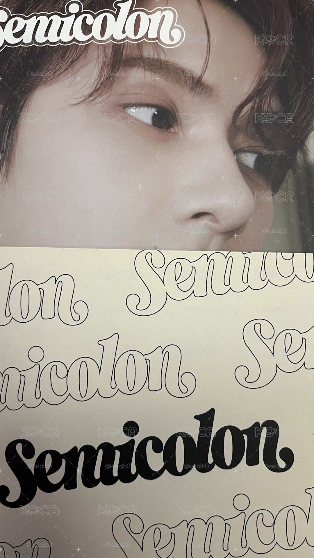 SEVENETEEN 文俊輝 李燦 單封 特二 jun dino