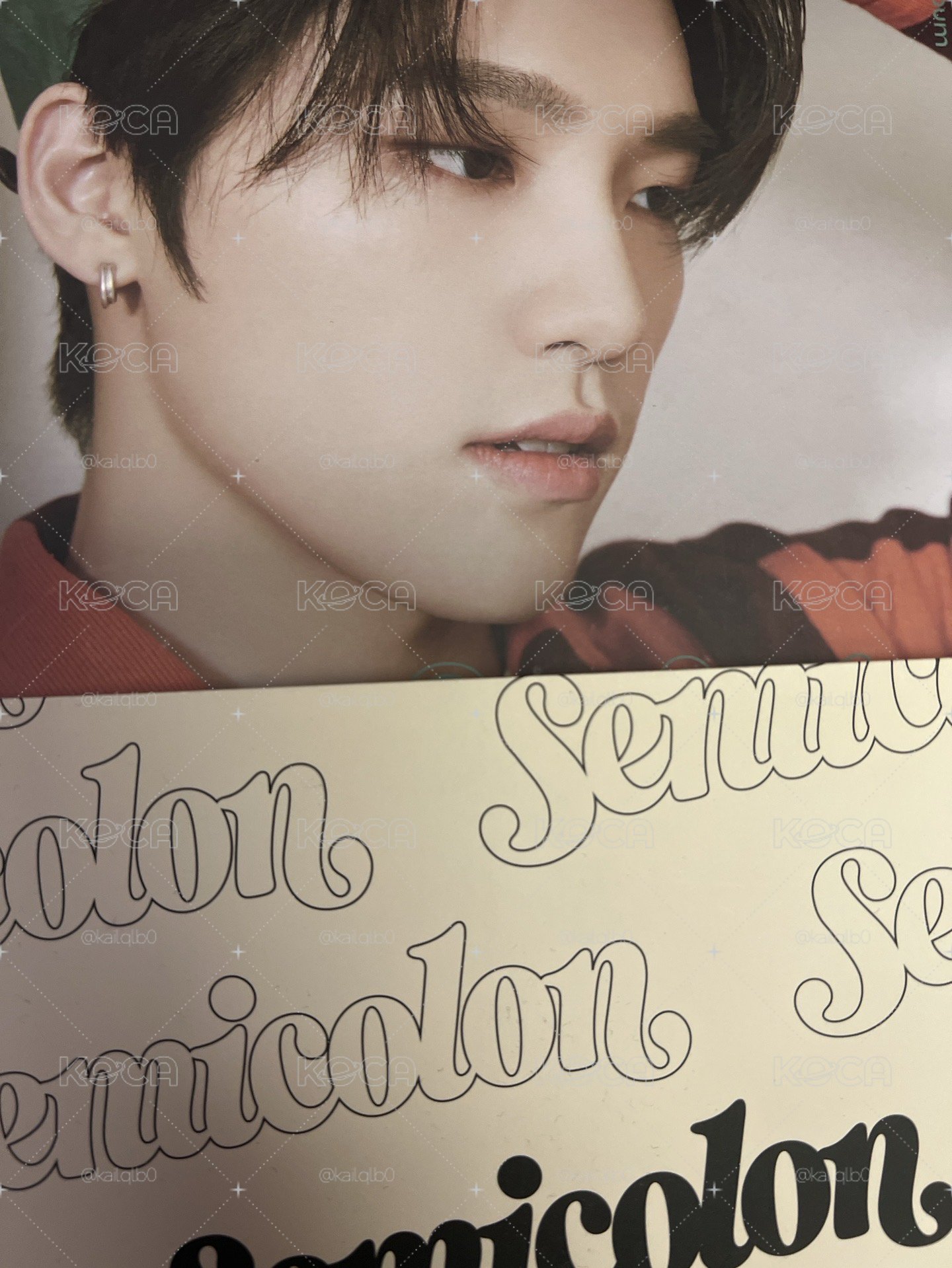 SEVENETEEN 文俊輝 李燦 單封 特二 jun dino