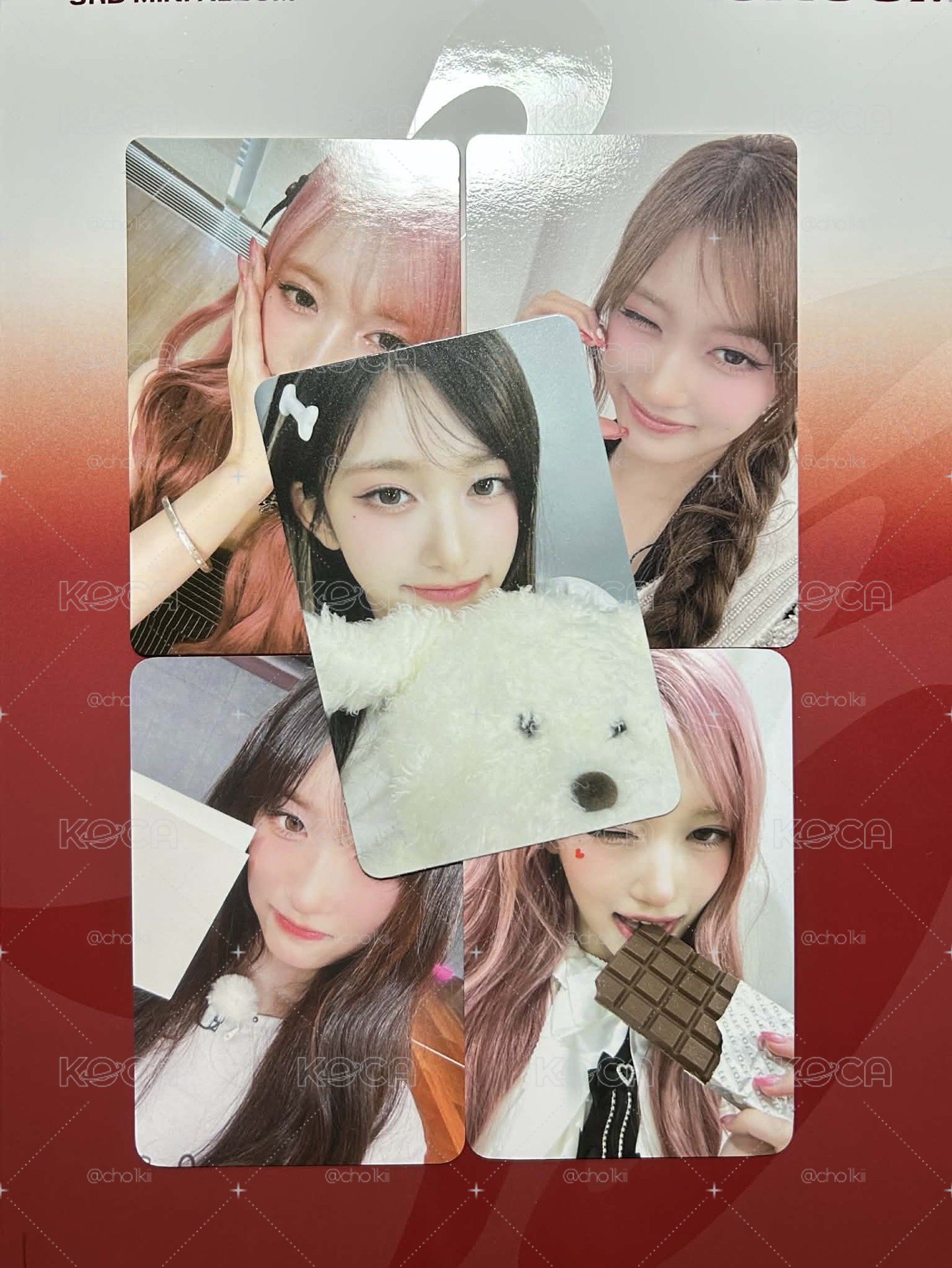 狗狗瑞小盤