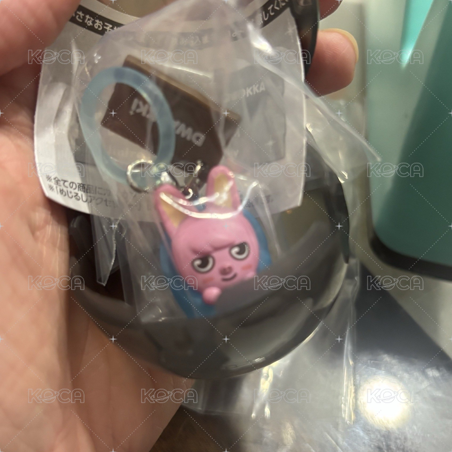 🐷🐰