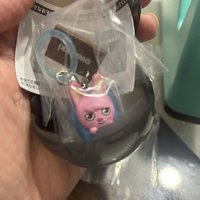 🐷🐰