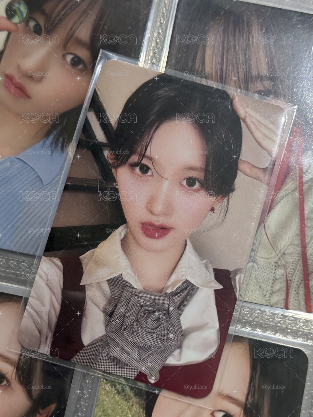 狗耳秋