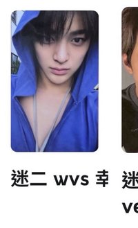 wvs 安