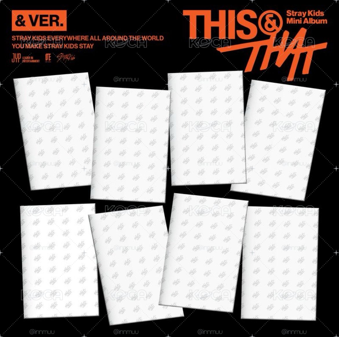 Stray Kids <THIS & THAT> 含通路特典