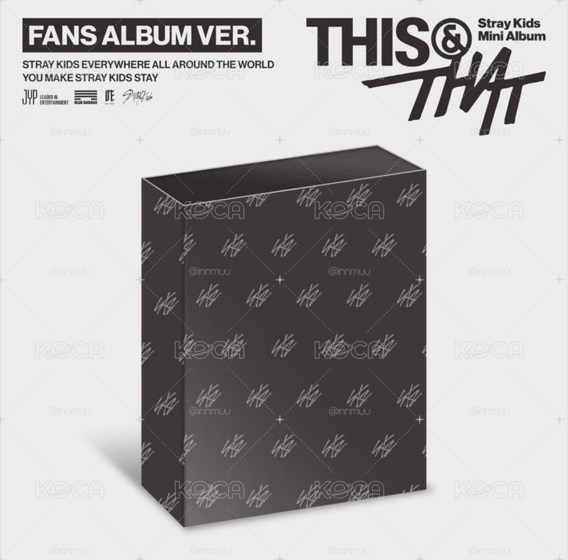 Stray Kids <THIS & THAT> 含通路特典