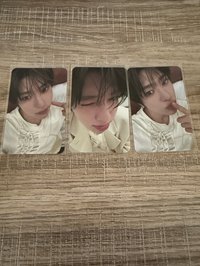 13 （左