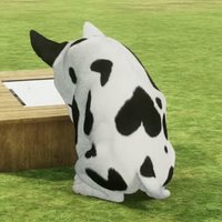 林淡