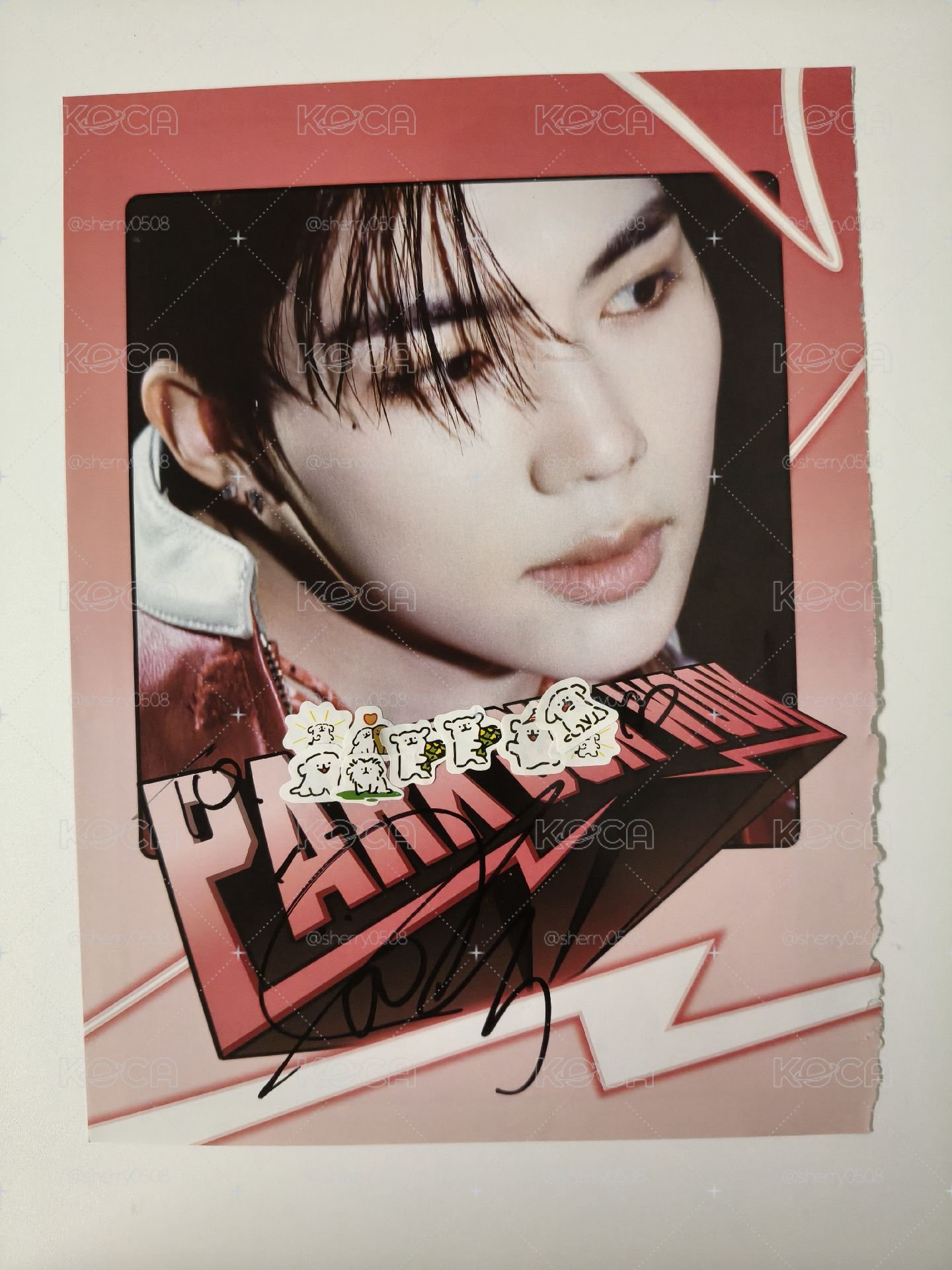 zb1盤