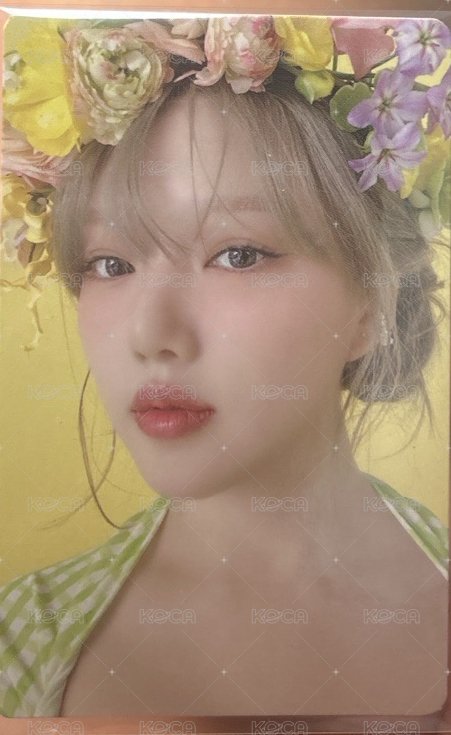 🌼