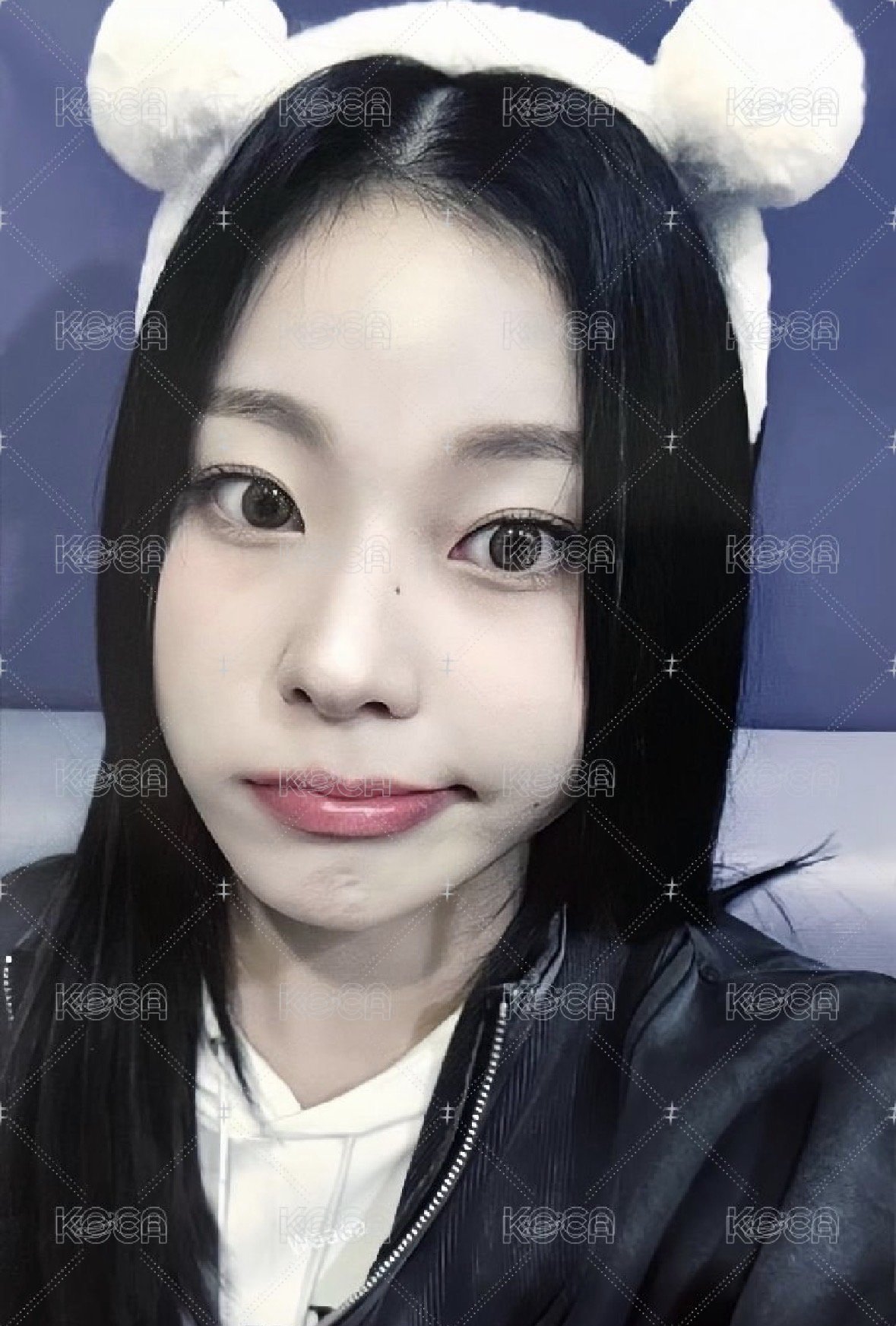 自嘲熊圭