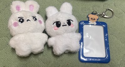 飛行玟