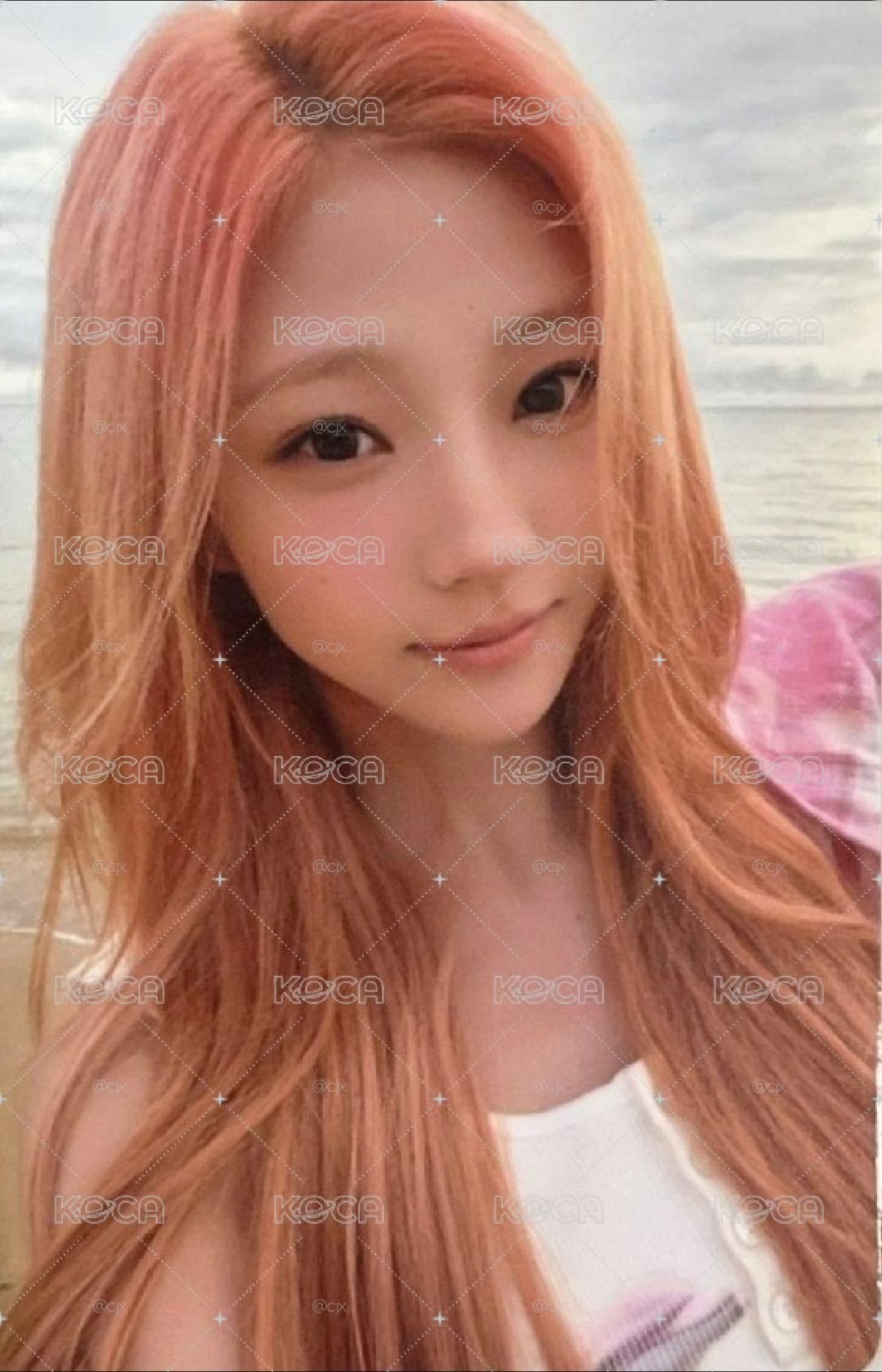Stella 專卡