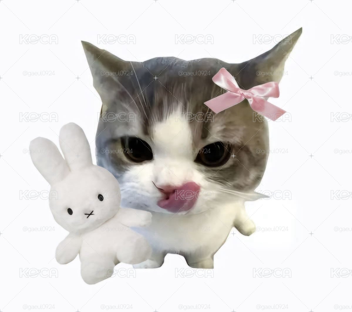 🔶秋卡
