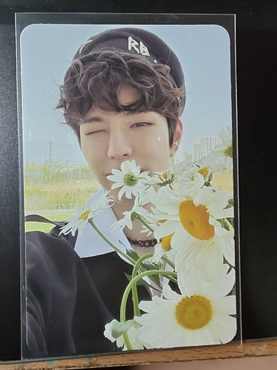 拿花的狗