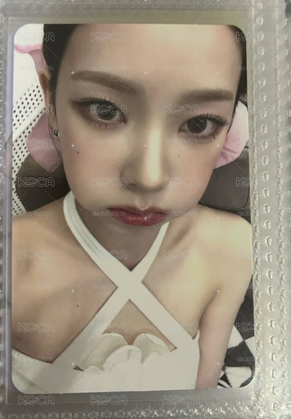 豬包柚800直出
