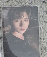 迷七專卡圭