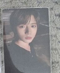 迷七專卡圭
