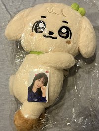 安 側背娃含卡