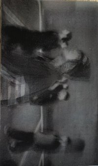 II Special 光柵卡 專輯卡 