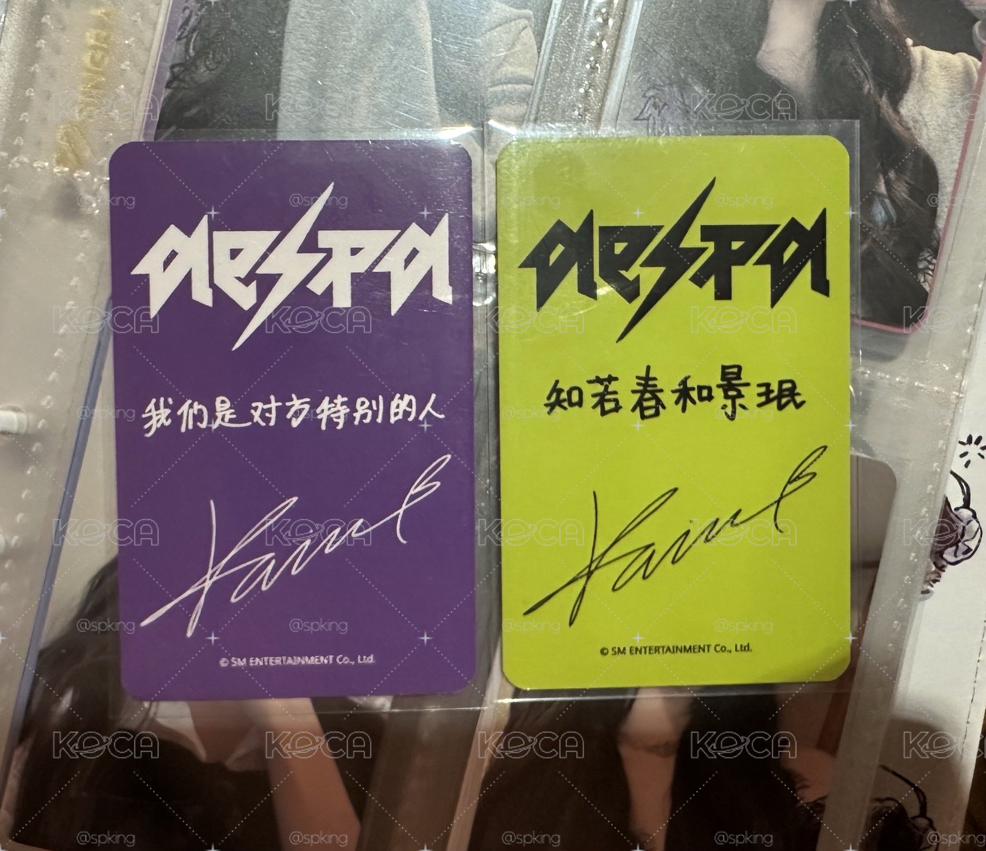 (中背）黑白托臉柚一對