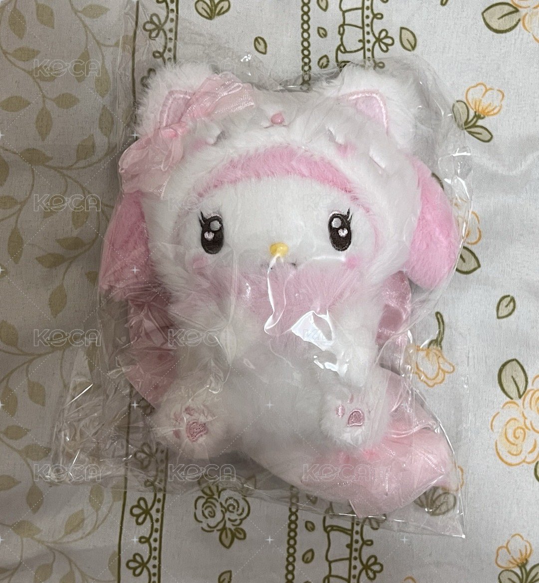 小貓🐱