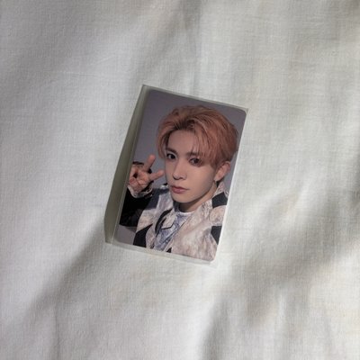 倉鼠羲 (現貨速出)