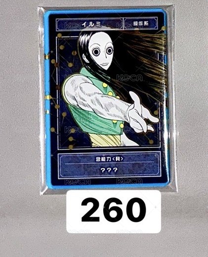 伊爾謎數據卡