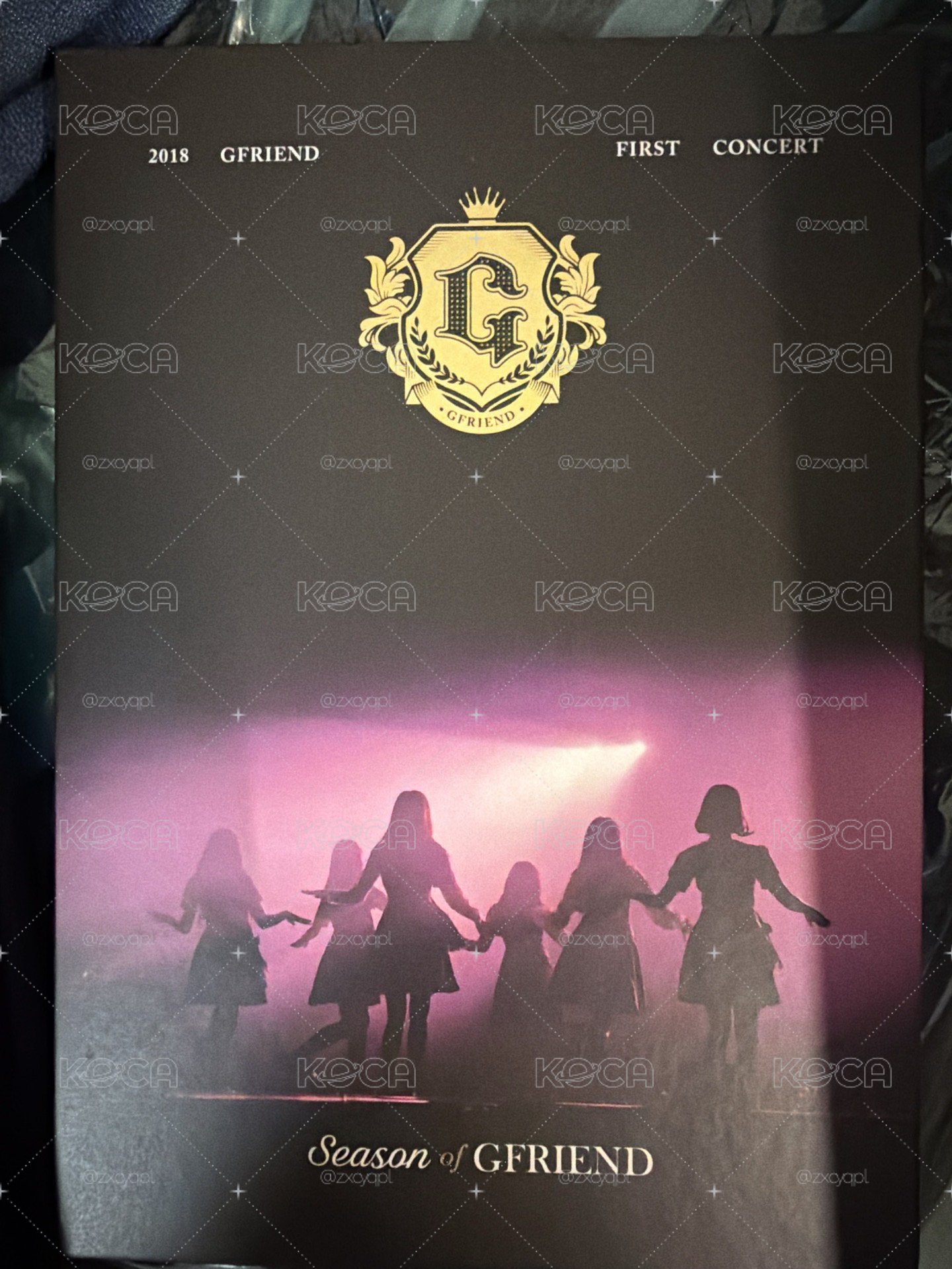 SOG演唱會 DVD 