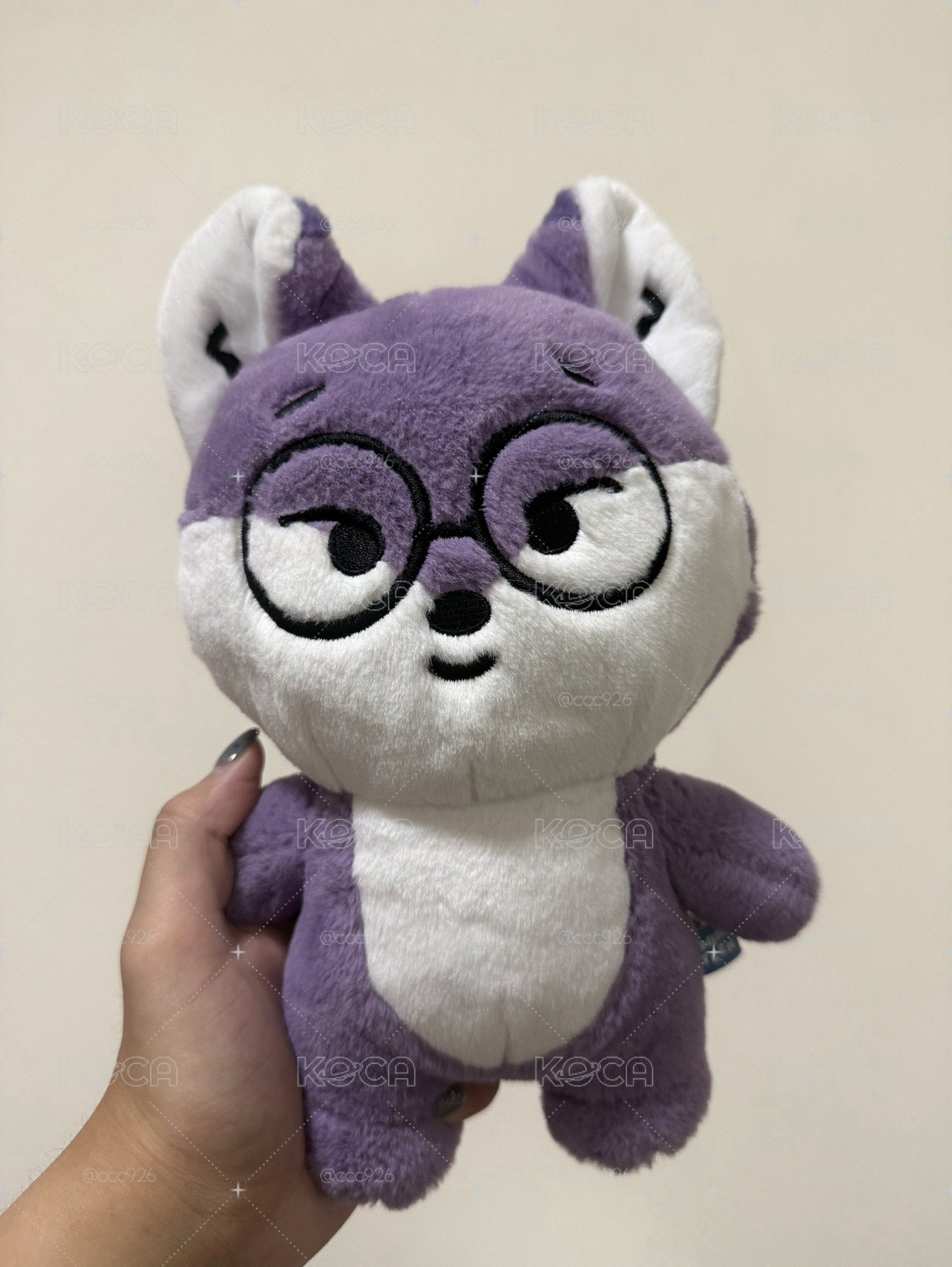 miniteen foxdungee全圓佑站娃