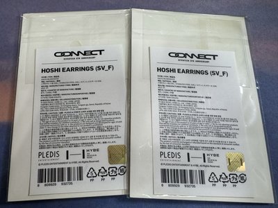 8週年耳環 HOSHI
