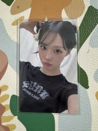 冬