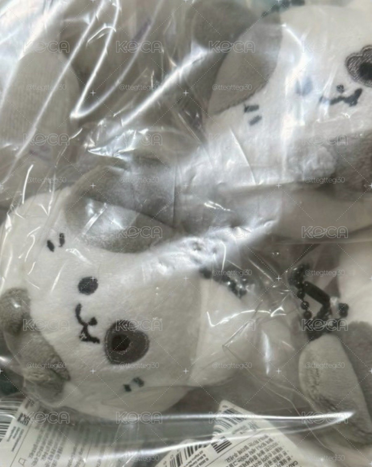 ⚡️圓滾滾志-現貨秒出