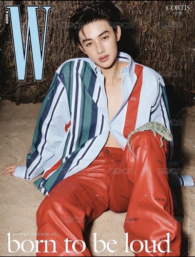 雜誌