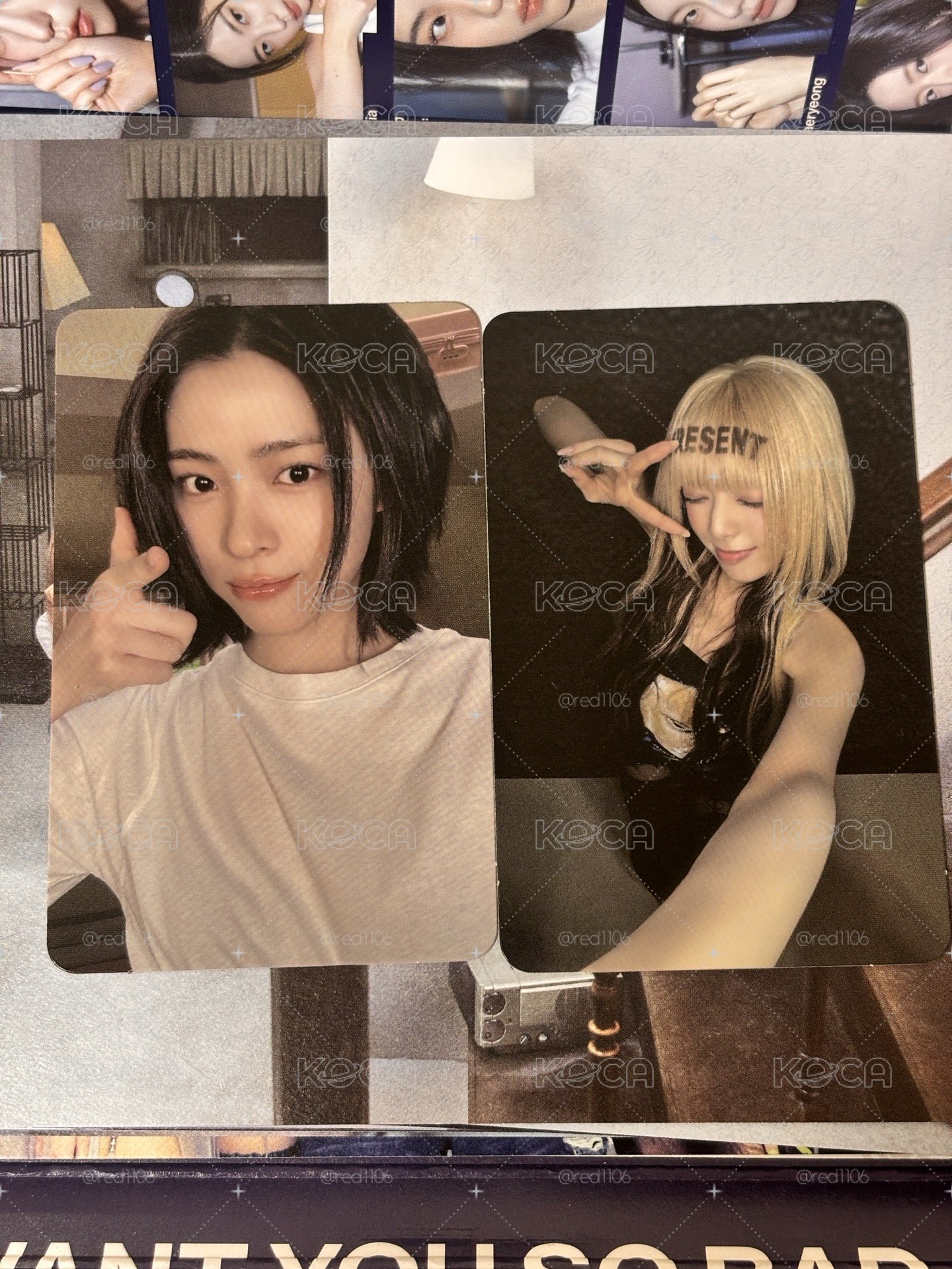 特別B版專卡