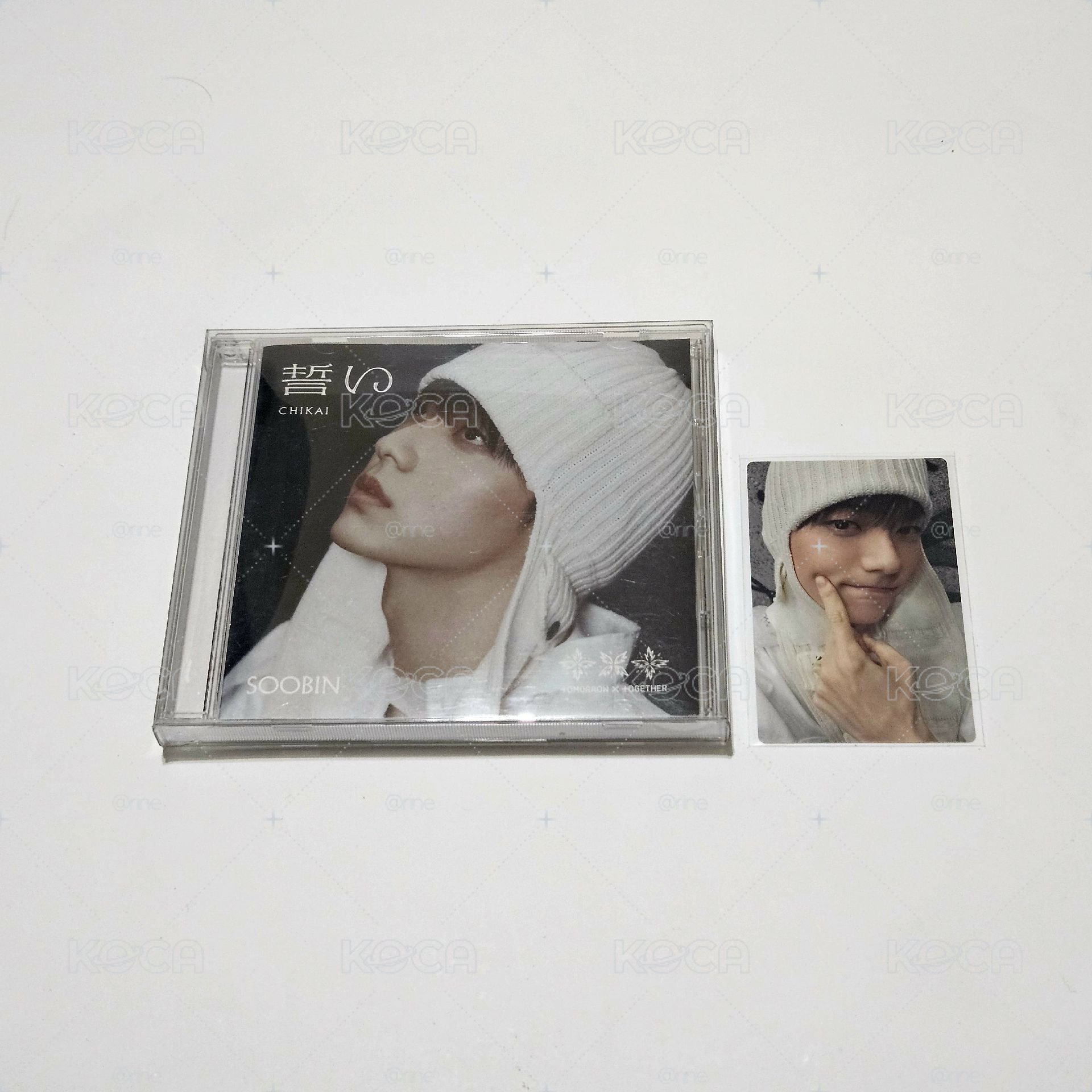 TXT｜盤出