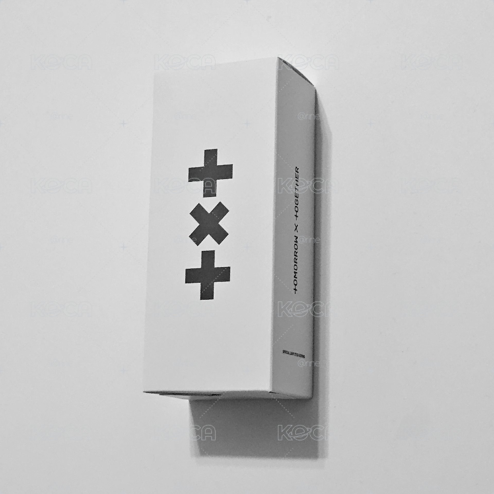 TXT｜盤出