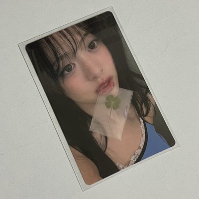 四葉草賢