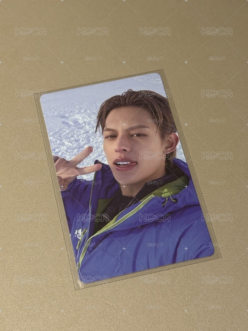 wvs雪地凡 