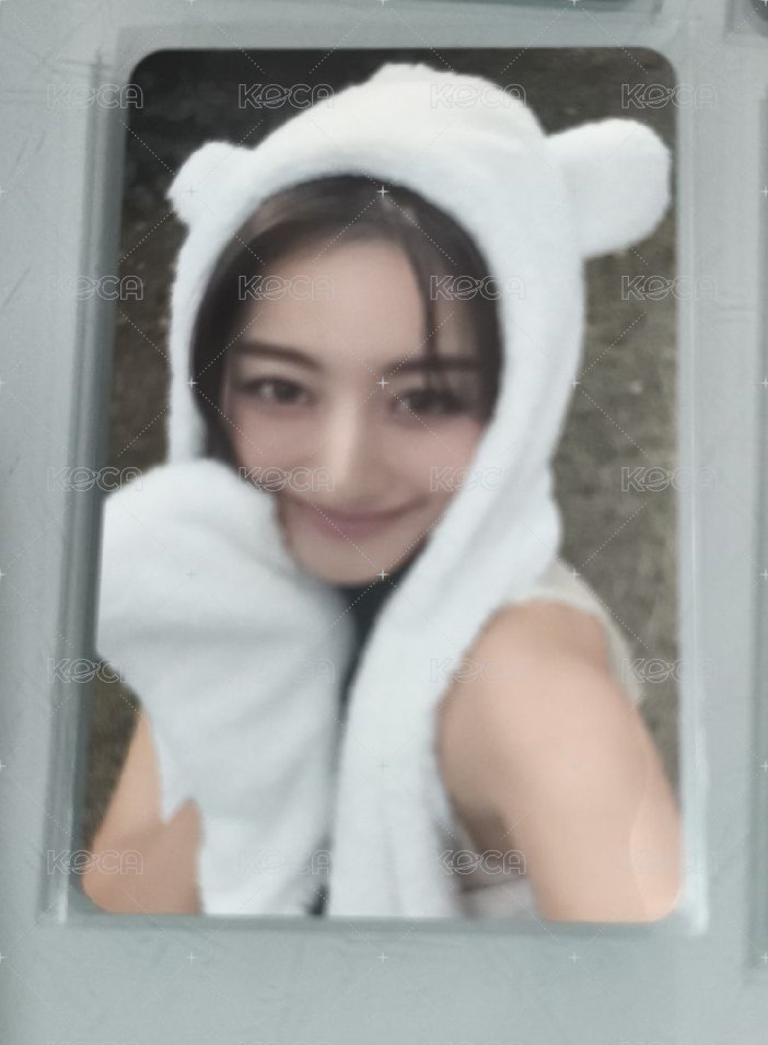 志效1