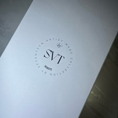 SEVENTEEN 成員自製商品 淨兔鼠 淨漢