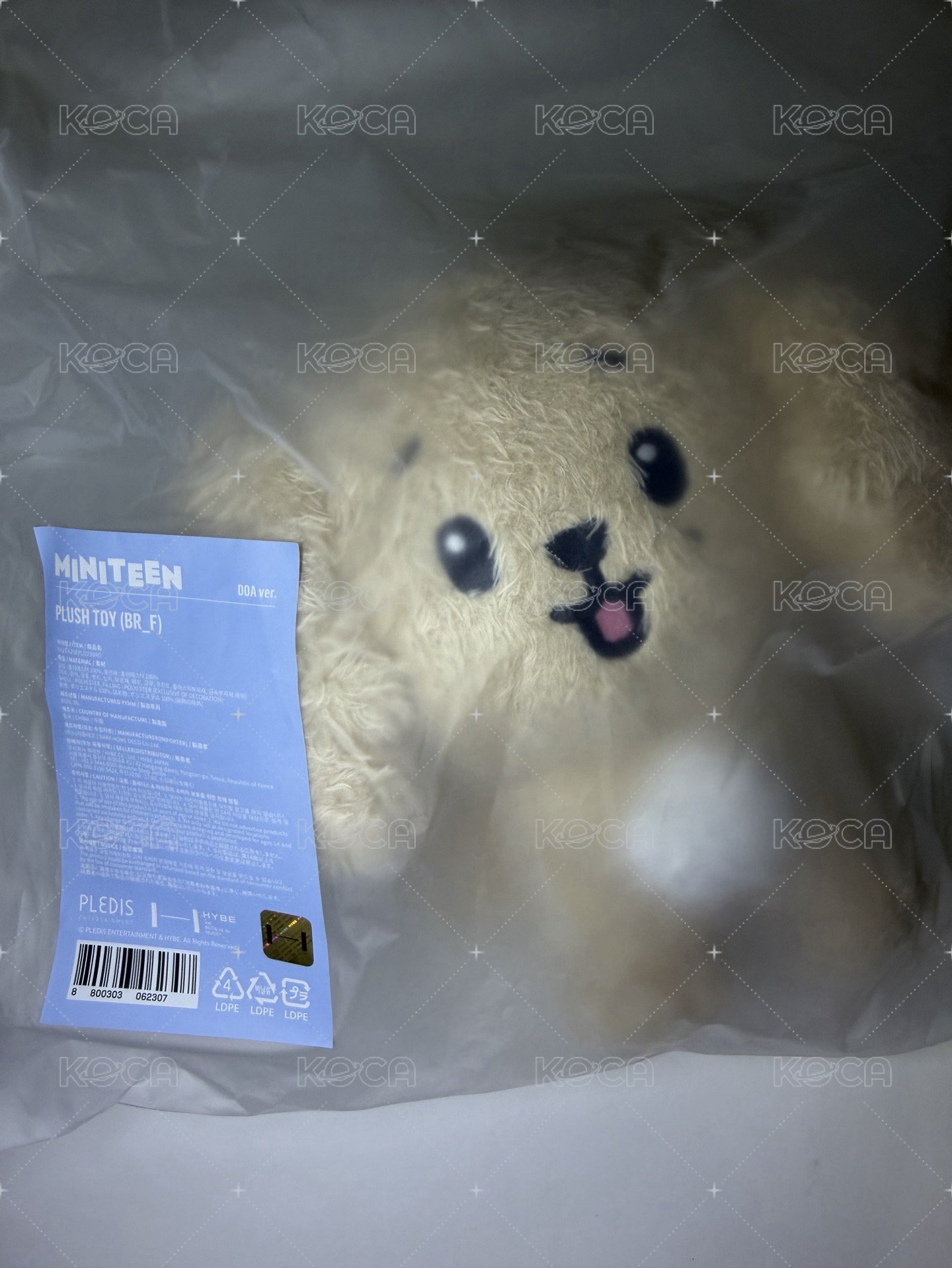 站娃-碩
