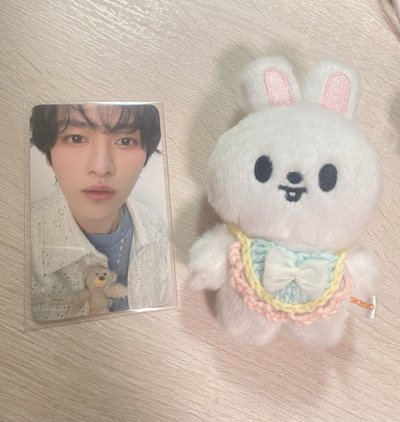 10公分李比比迷你盤