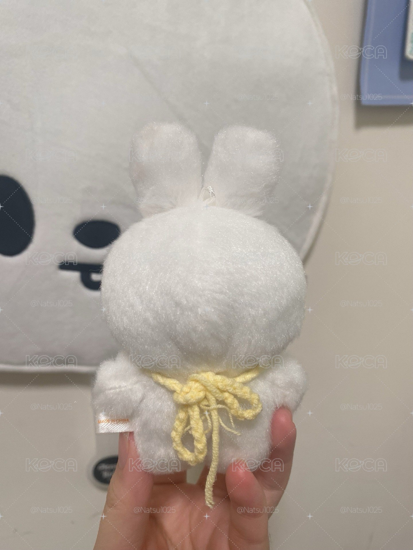 10公分李比比迷你盤