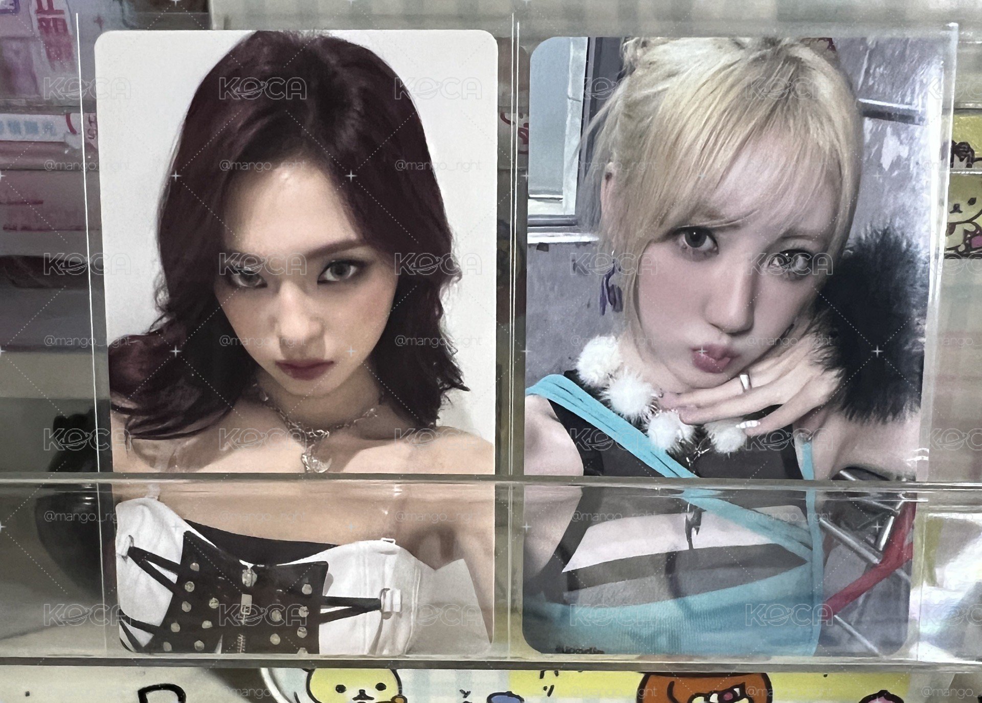 BABYMONSTER 寶怪專區（特典、滿額、隨機卡…）