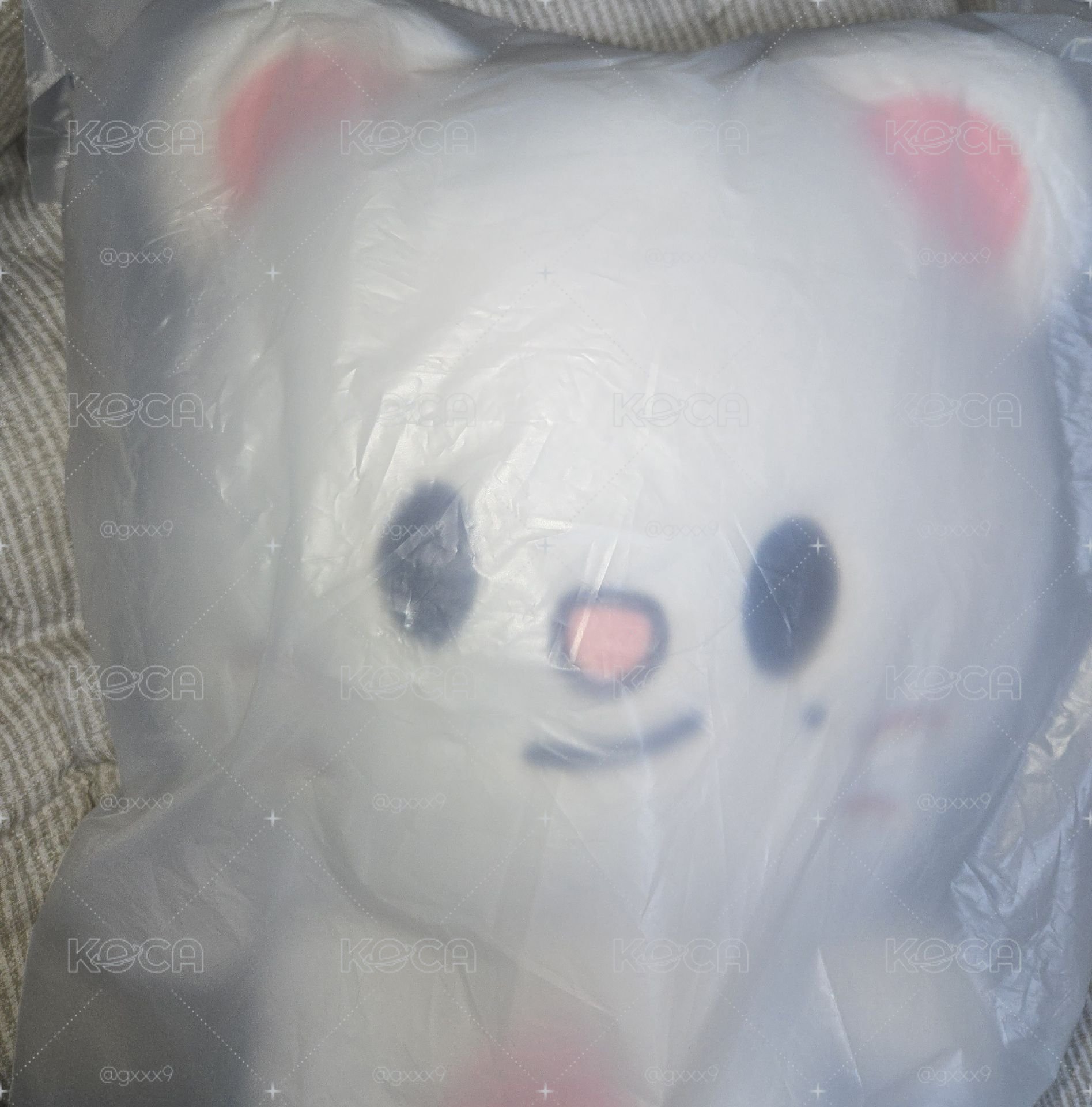 六期飯咪 辰後背娃