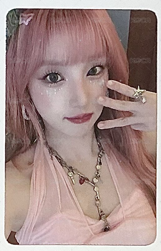 粉髮🎀🐶
