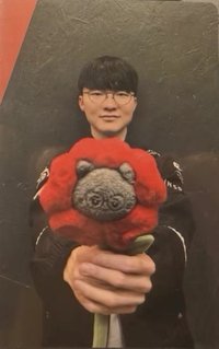 2026 Animal Friends Flower Plushie 周邊卡 