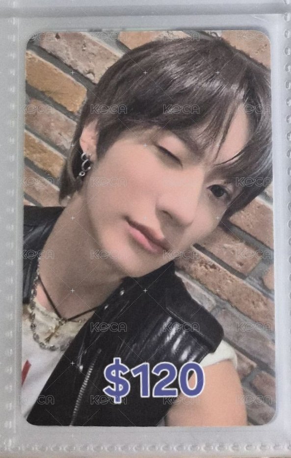 wink🦕
